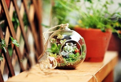 Hanging glass art for candles and plants