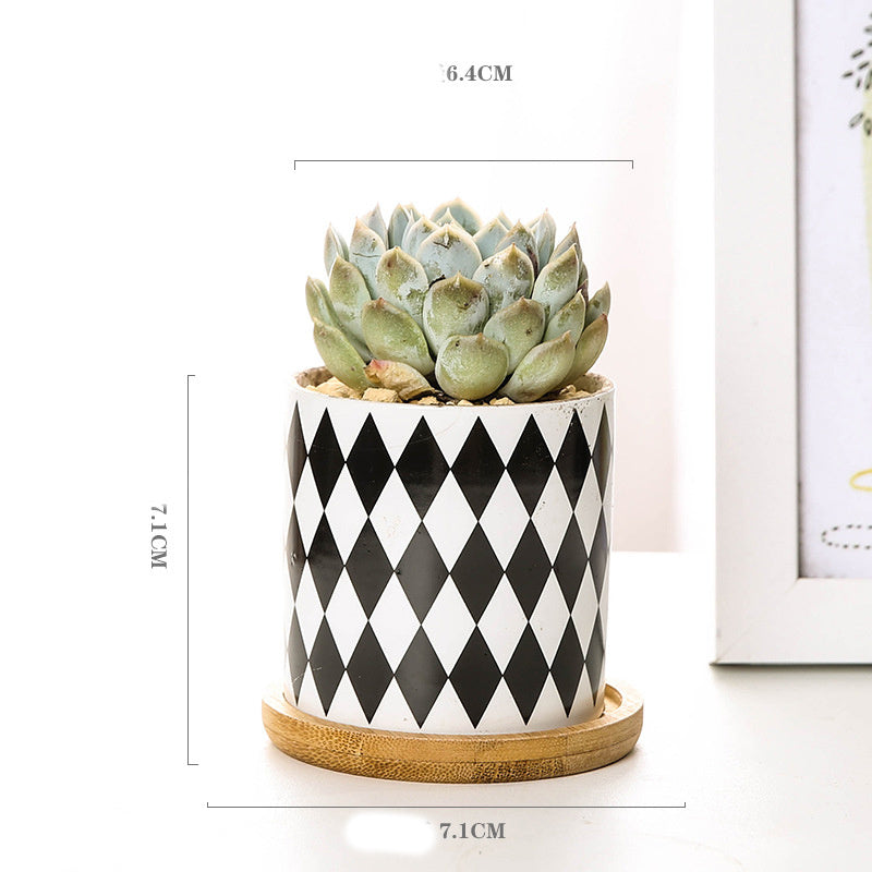 Imaginative ceramic flower pots for your darlings
