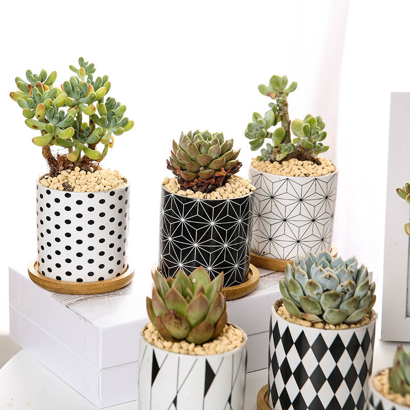Imaginative ceramic flower pots for your darlings