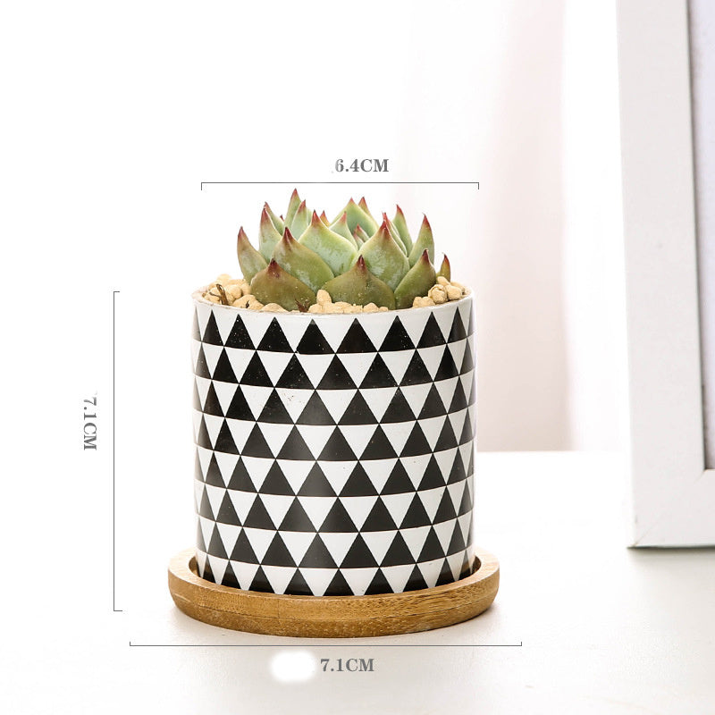 Imaginative ceramic flower pots for your darlings