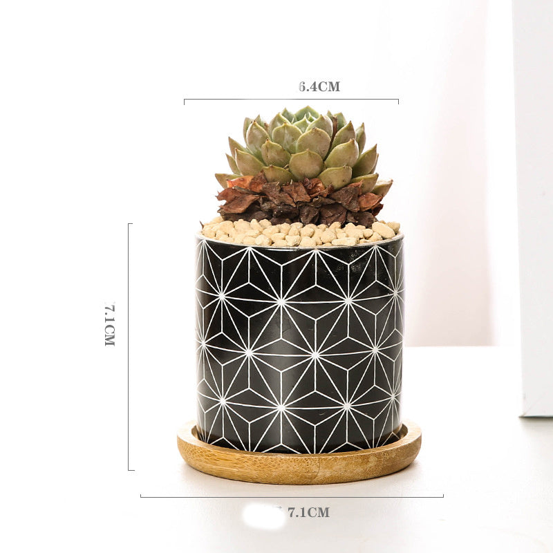 Imaginative ceramic flower pots for your darlings