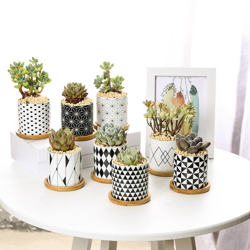Imaginative ceramic flower pots for your darlings