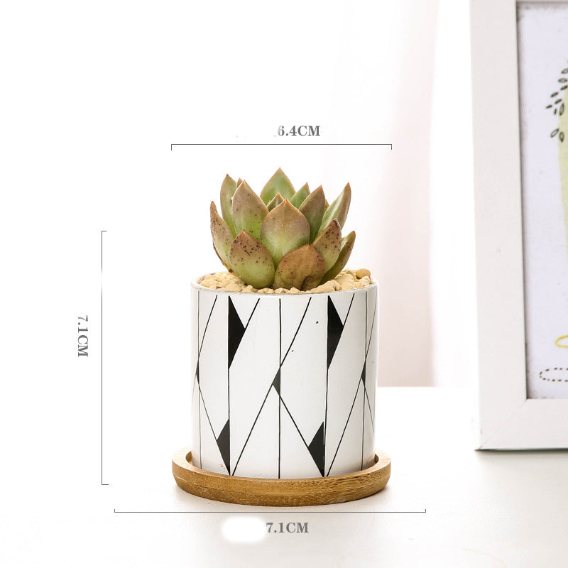Imaginative ceramic flower pots for your darlings