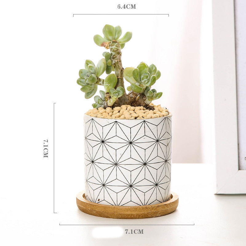 Imaginative ceramic flower pots for your darlings