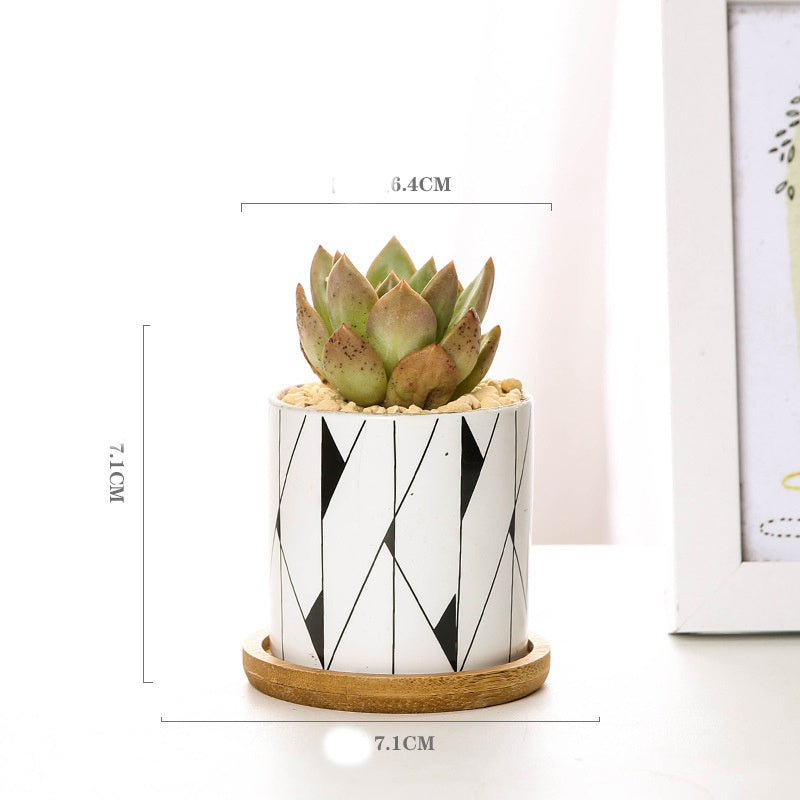 Imaginative ceramic flower pots for your darlings