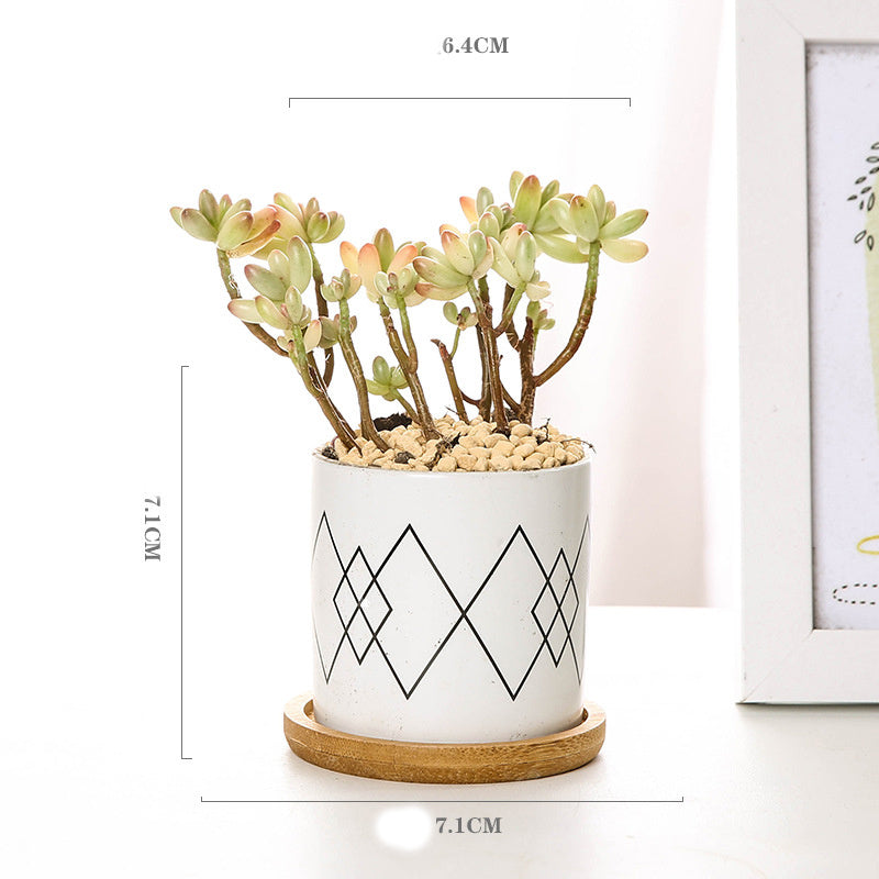 Imaginative ceramic flower pots for your darlings