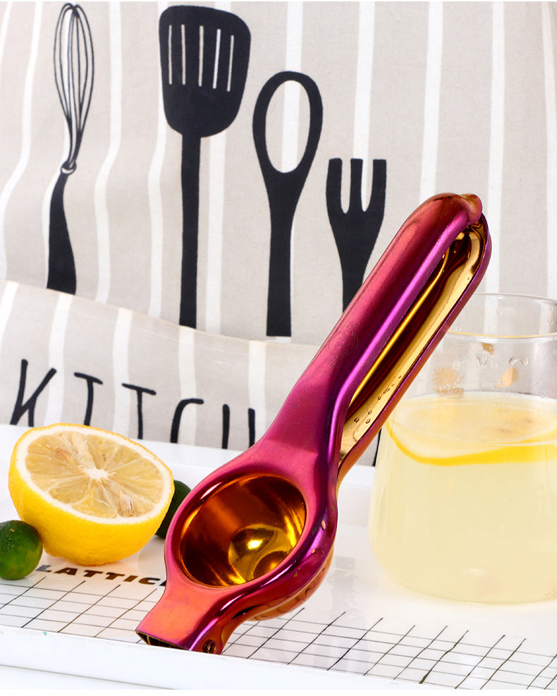 Juicepress i Rostfritt Stål