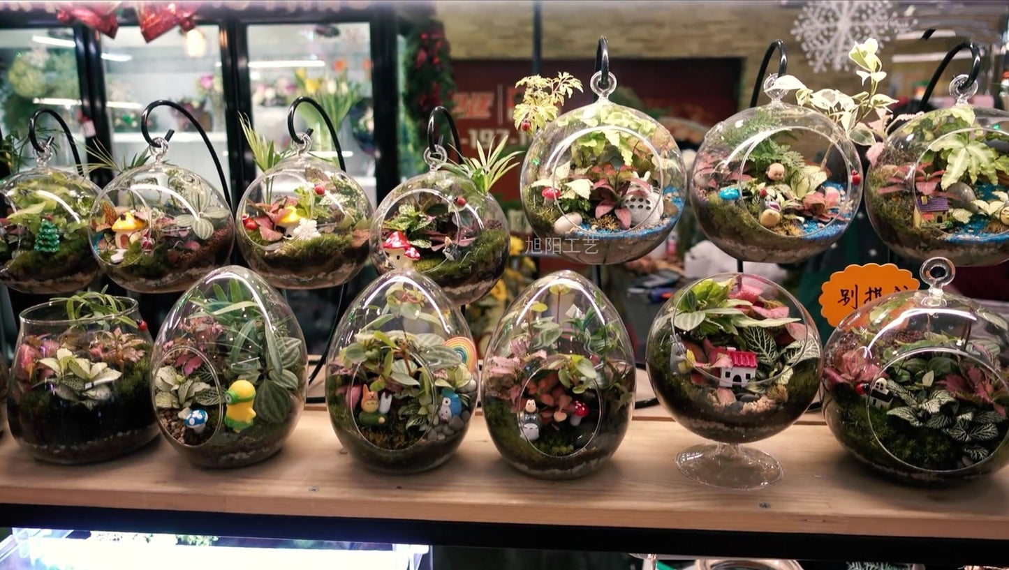 Hanging glass art for candles and plants