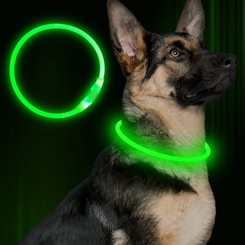 Halsband för Hundar - Säkert och Vackert i Mörka Nätter!