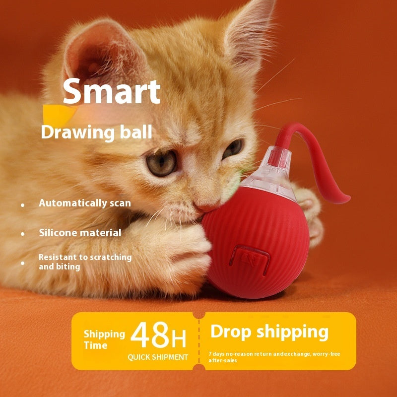 Interactive cat ball with magic tail!