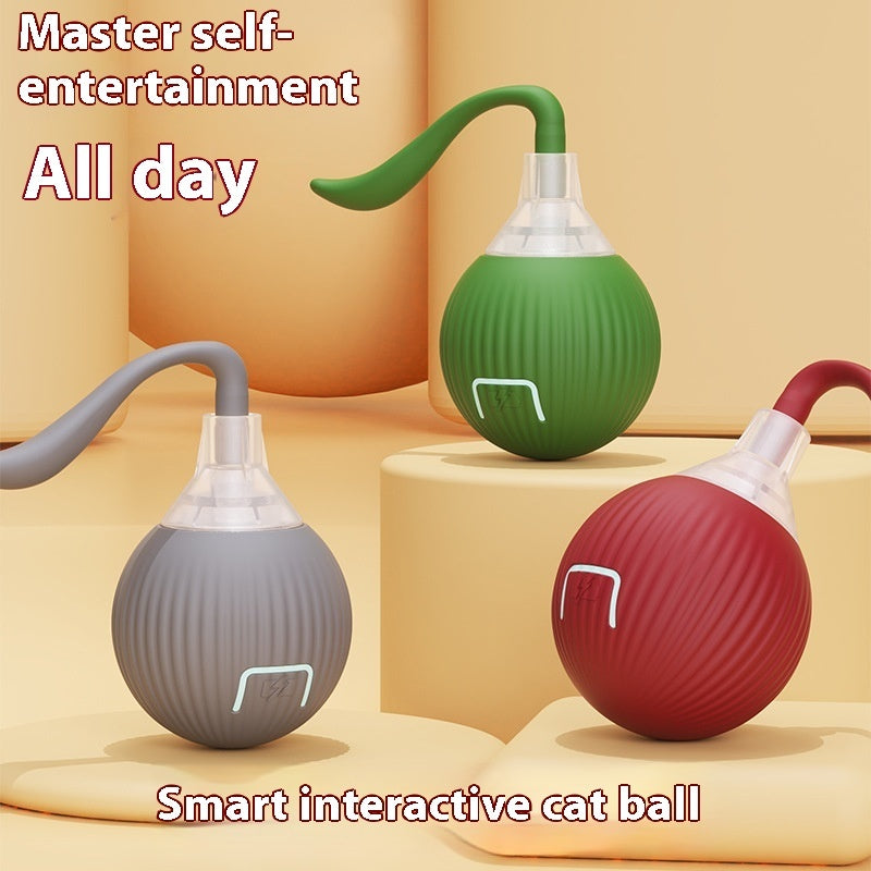 Interactive cat ball with magic tail!
