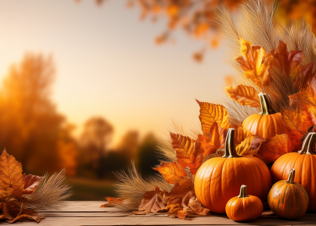 Halloween 2025 – Dekorationer och accessoarer för ett magiskt hem | Click and Buy